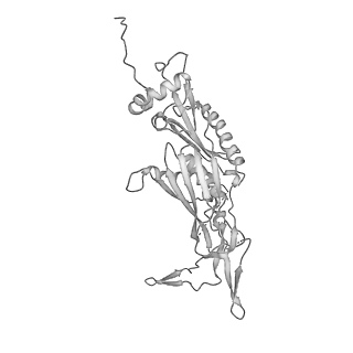 0952_6lqs_R3_v1-1
Cryo-EM structure of 90S small subunit preribosomes in transition states (State D)