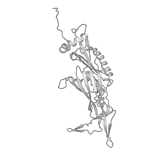 0952_6lqs_R3_v1-2
Cryo-EM structure of 90S small subunit preribosomes in transition states (State D)