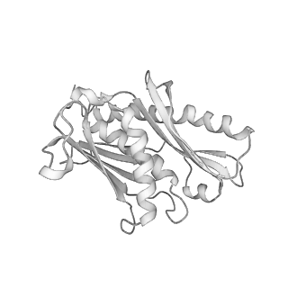 0952_6lqs_R6_v1-1
Cryo-EM structure of 90S small subunit preribosomes in transition states (State D)