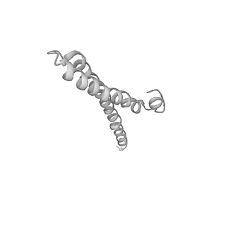 0952_6lqs_R7_v1-2
Cryo-EM structure of 90S small subunit preribosomes in transition states (State D)