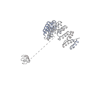0952_6lqs_RD_v1-1
Cryo-EM structure of 90S small subunit preribosomes in transition states (State D)
