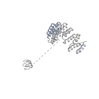 0952_6lqs_RD_v1-2
Cryo-EM structure of 90S small subunit preribosomes in transition states (State D)