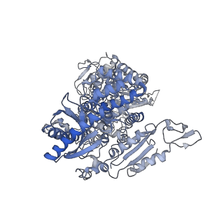 0952_6lqs_RE_v1-1
Cryo-EM structure of 90S small subunit preribosomes in transition states (State D)