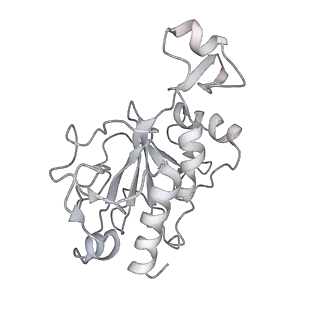 0952_6lqs_RG_v1-1
Cryo-EM structure of 90S small subunit preribosomes in transition states (State D)