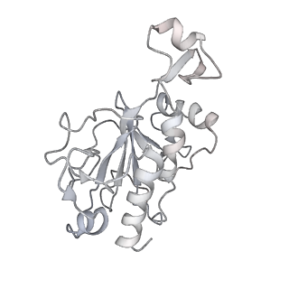 0952_6lqs_RG_v1-2
Cryo-EM structure of 90S small subunit preribosomes in transition states (State D)