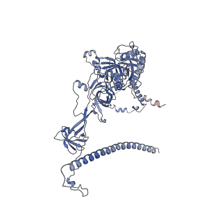 0952_6lqs_RJ_v1-1
Cryo-EM structure of 90S small subunit preribosomes in transition states (State D)