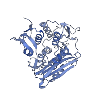 0952_6lqs_RK_v1-1
Cryo-EM structure of 90S small subunit preribosomes in transition states (State D)
