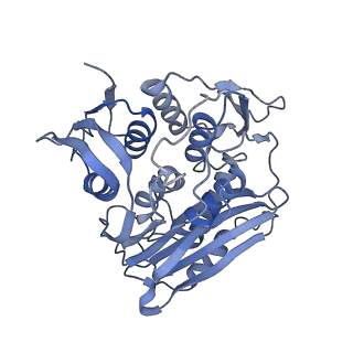 0952_6lqs_RK_v1-2
Cryo-EM structure of 90S small subunit preribosomes in transition states (State D)