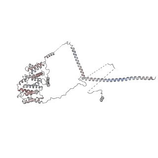 0952_6lqs_RN_v1-1
Cryo-EM structure of 90S small subunit preribosomes in transition states (State D)