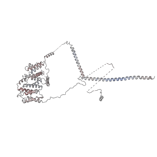 0952_6lqs_RN_v1-2
Cryo-EM structure of 90S small subunit preribosomes in transition states (State D)