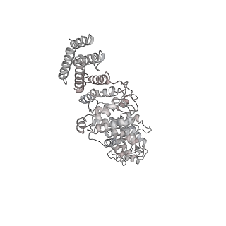 0952_6lqs_RO_v1-1
Cryo-EM structure of 90S small subunit preribosomes in transition states (State D)