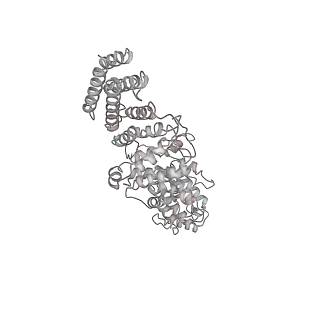 0952_6lqs_RO_v1-2
Cryo-EM structure of 90S small subunit preribosomes in transition states (State D)