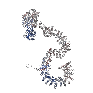 0952_6lqs_RP_v1-1
Cryo-EM structure of 90S small subunit preribosomes in transition states (State D)