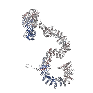 0952_6lqs_RP_v1-2
Cryo-EM structure of 90S small subunit preribosomes in transition states (State D)