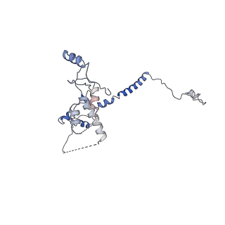 0952_6lqs_RQ_v1-1
Cryo-EM structure of 90S small subunit preribosomes in transition states (State D)