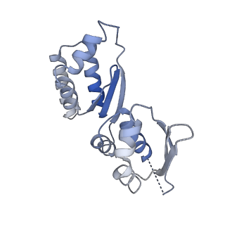 0952_6lqs_RT_v1-1
Cryo-EM structure of 90S small subunit preribosomes in transition states (State D)