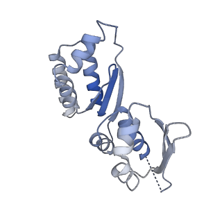 0952_6lqs_RT_v1-2
Cryo-EM structure of 90S small subunit preribosomes in transition states (State D)