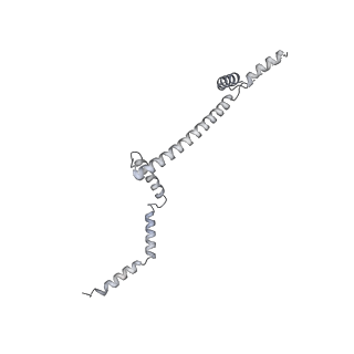 0952_6lqs_RW_v1-2
Cryo-EM structure of 90S small subunit preribosomes in transition states (State D)