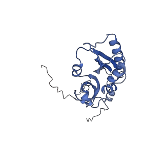 0952_6lqs_SC_v1-1
Cryo-EM structure of 90S small subunit preribosomes in transition states (State D)
