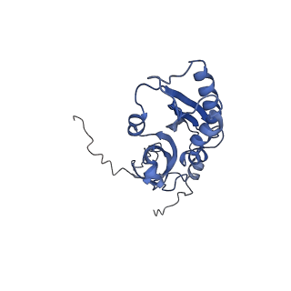 0952_6lqs_SC_v1-2
Cryo-EM structure of 90S small subunit preribosomes in transition states (State D)