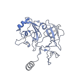 0952_6lqs_SF_v1-1
Cryo-EM structure of 90S small subunit preribosomes in transition states (State D)