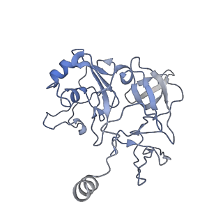 0952_6lqs_SF_v1-2
Cryo-EM structure of 90S small subunit preribosomes in transition states (State D)