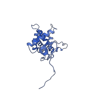 0952_6lqs_SG_v1-2
Cryo-EM structure of 90S small subunit preribosomes in transition states (State D)