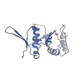 0952_6lqs_SI_v1-1
Cryo-EM structure of 90S small subunit preribosomes in transition states (State D)