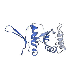 0952_6lqs_SI_v1-2
Cryo-EM structure of 90S small subunit preribosomes in transition states (State D)