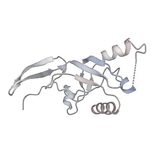0952_6lqs_SJ_v1-1
Cryo-EM structure of 90S small subunit preribosomes in transition states (State D)