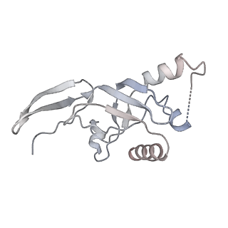 0952_6lqs_SJ_v1-2
Cryo-EM structure of 90S small subunit preribosomes in transition states (State D)