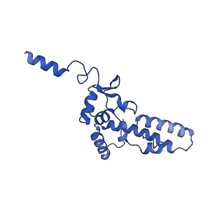 0952_6lqs_SK_v1-1
Cryo-EM structure of 90S small subunit preribosomes in transition states (State D)