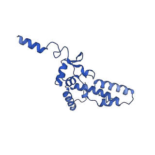 0952_6lqs_SK_v1-2
Cryo-EM structure of 90S small subunit preribosomes in transition states (State D)