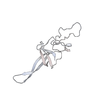 0952_6lqs_SM_v1-1
Cryo-EM structure of 90S small subunit preribosomes in transition states (State D)