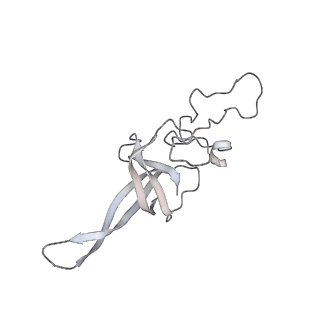 0952_6lqs_SM_v1-2
Cryo-EM structure of 90S small subunit preribosomes in transition states (State D)