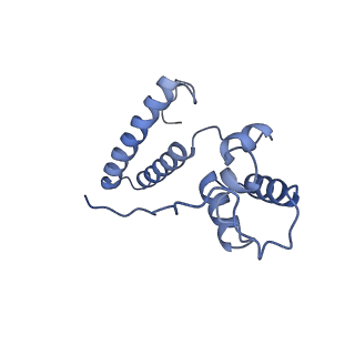 0952_6lqs_SO_v1-2
Cryo-EM structure of 90S small subunit preribosomes in transition states (State D)