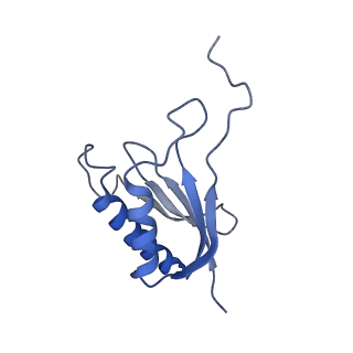 0952_6lqs_SP_v1-1
Cryo-EM structure of 90S small subunit preribosomes in transition states (State D)