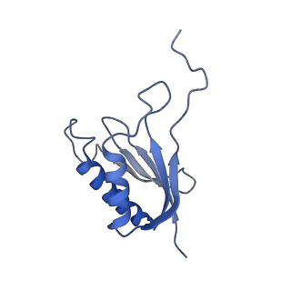 0952_6lqs_SP_v1-2
Cryo-EM structure of 90S small subunit preribosomes in transition states (State D)