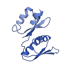 0952_6lqs_SX_v1-2
Cryo-EM structure of 90S small subunit preribosomes in transition states (State D)