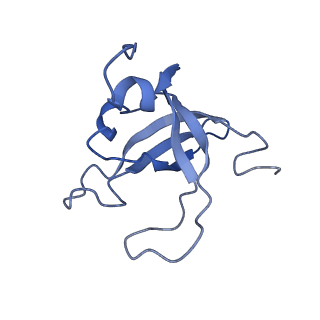 0952_6lqs_SY_v1-1
Cryo-EM structure of 90S small subunit preribosomes in transition states (State D)