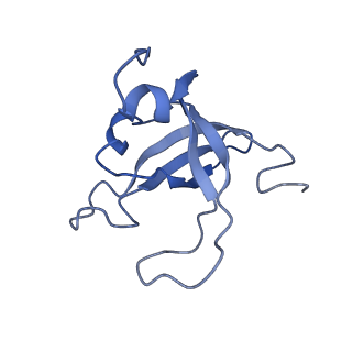 0952_6lqs_SY_v1-2
Cryo-EM structure of 90S small subunit preribosomes in transition states (State D)