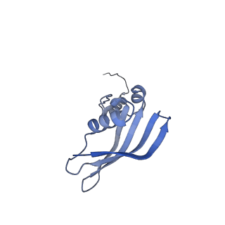 0952_6lqs_SZ_v1-2
Cryo-EM structure of 90S small subunit preribosomes in transition states (State D)