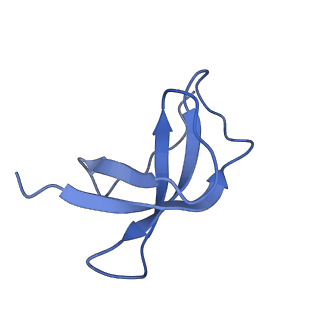 0952_6lqs_Sd_v1-2
Cryo-EM structure of 90S small subunit preribosomes in transition states (State D)