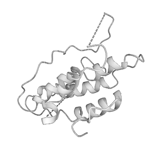 0952_6lqs_X2_v1-1
Cryo-EM structure of 90S small subunit preribosomes in transition states (State D)