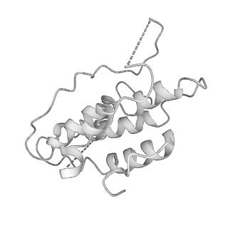 0952_6lqs_X2_v1-2
Cryo-EM structure of 90S small subunit preribosomes in transition states (State D)