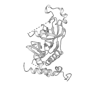 0952_6lqs_r4_v1-1
Cryo-EM structure of 90S small subunit preribosomes in transition states (State D)