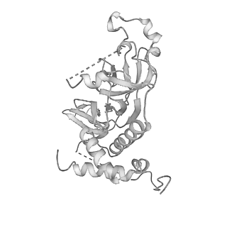 0952_6lqs_r4_v1-2
Cryo-EM structure of 90S small subunit preribosomes in transition states (State D)