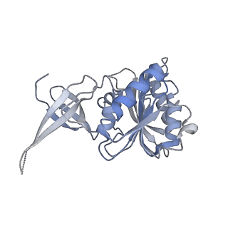 0953_6lqt_3B_v1-2
Cryo-EM structure of 90S small subunit preribosomes in transition states (State E)