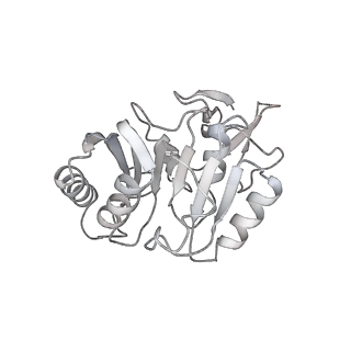 0953_6lqt_3C_v1-2
Cryo-EM structure of 90S small subunit preribosomes in transition states (State E)