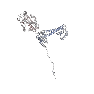 0953_6lqt_3E_v1-1
Cryo-EM structure of 90S small subunit preribosomes in transition states (State E)
